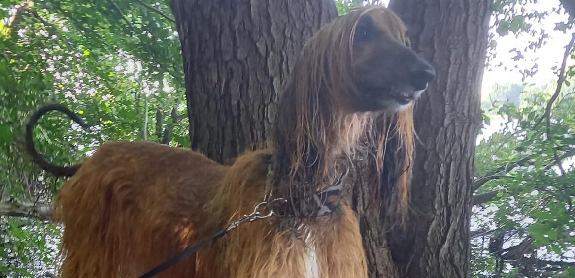 Plitsch Platsch Nass